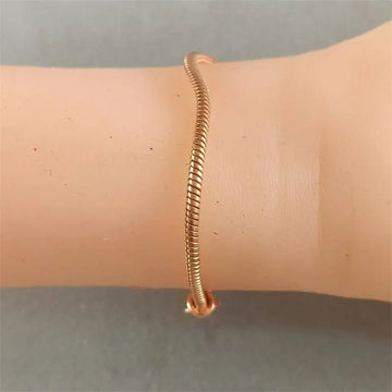 Dreamcatcher Bracelet Female Rose Gold Snake Bones Chain Advibe Studio